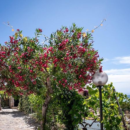 فيلا Casa Aniello كابريولي المظهر الخارجي الصورة